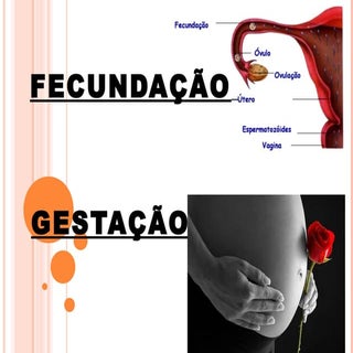 Slites  apresentado para o  5 ano A...