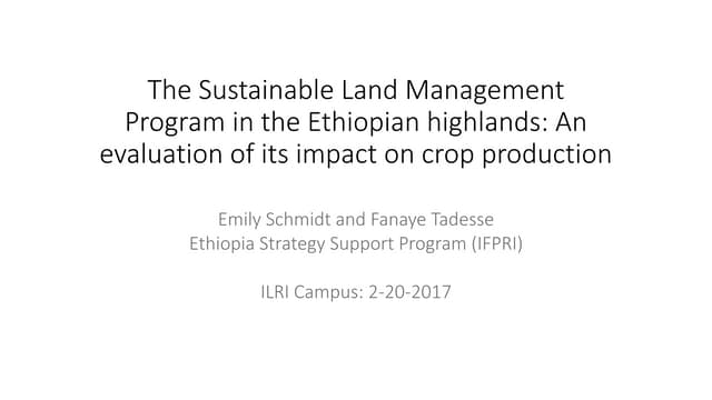 The Sustainable Land Management Program in the Ethiopian highlands: An evaluation of its impact on crop production