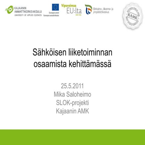 Sähköisen liiketoiminnan osaamisen kehittäminen