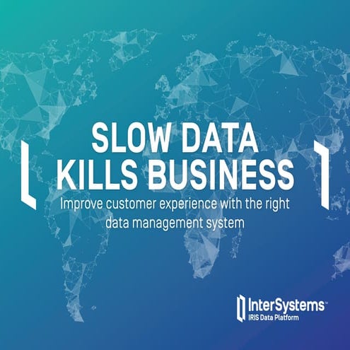 Slow Data Kills Business eBook - Improve the Customer Experience
