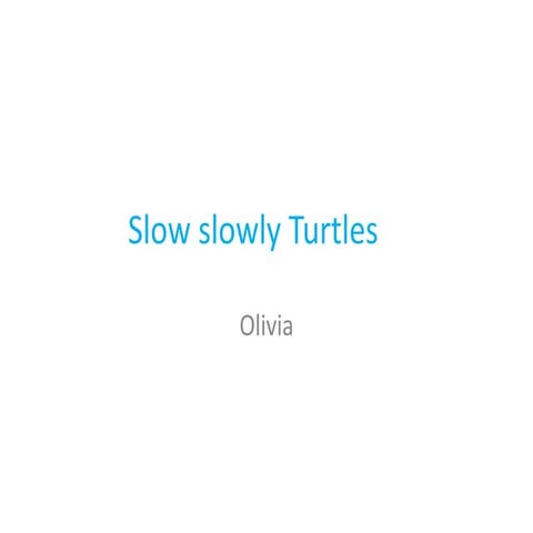pet shop | PPT