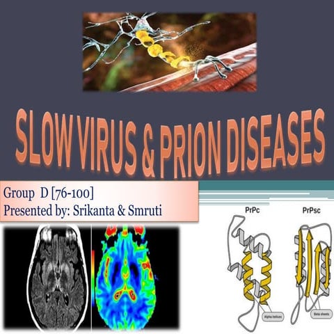 SLOW VIRUS & PRION DISEASES.pptx