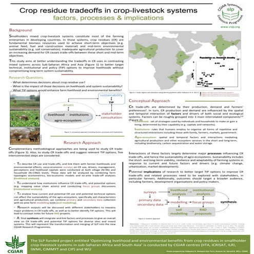 Crop residue tradeoffs in crop-livestock systems factors, processes and impli...