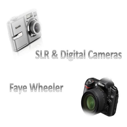 Slr & digital cameras