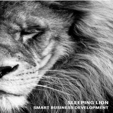SMART BUSINESS DEVELOPMENT - SLEEPING LION