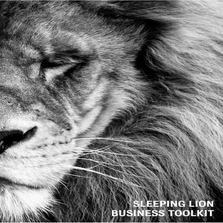 SLEEPING LION BUSINESS TOOLKIT 2019