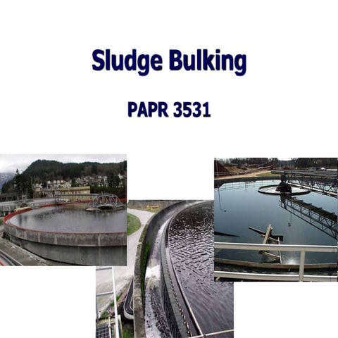 sludge-bulking.pdf