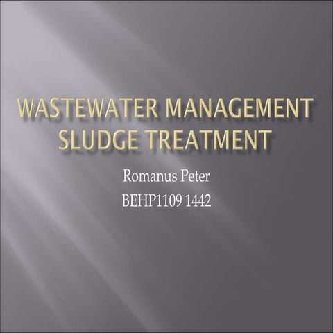 Sludge treatment and disposal