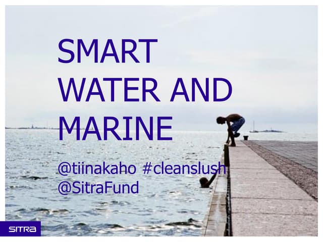 Tiina Kähö: Smart Water and Marine