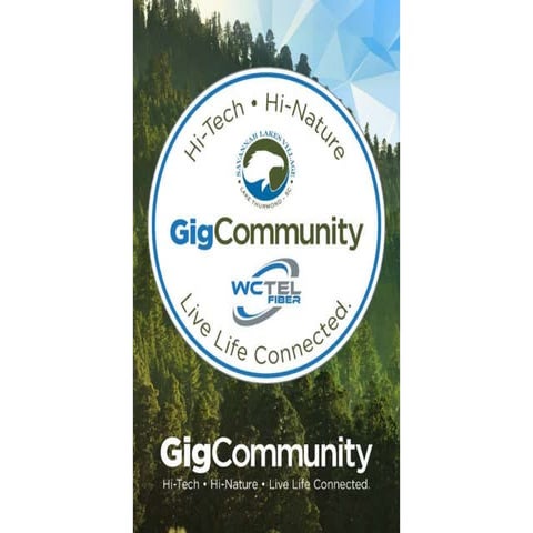 WCTEL Technology Update for SLV