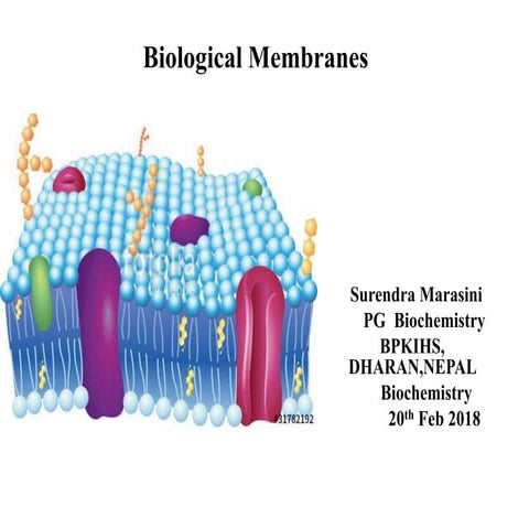 Biological Membrane