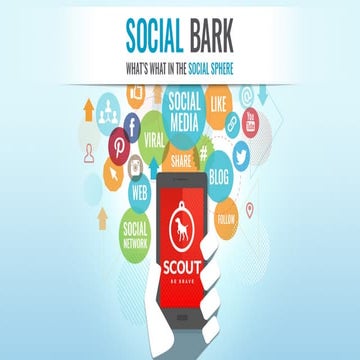 Scout Social Bark - August 2015