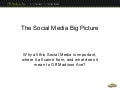 The Social Media Big Picture