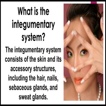 Anatomy-Integumentary-System for Animal Structure | PPT