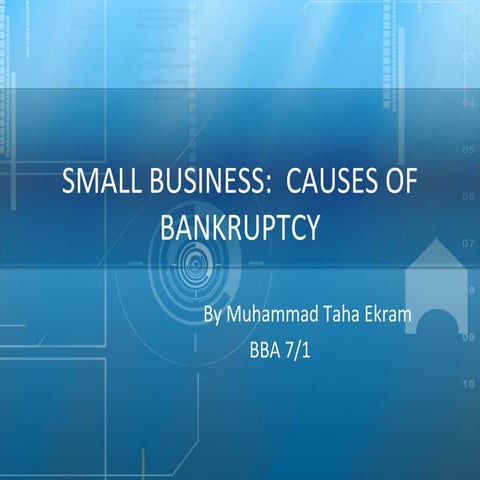 SMALL BUSINESS:  CAUSES OF BANKRUPTCY