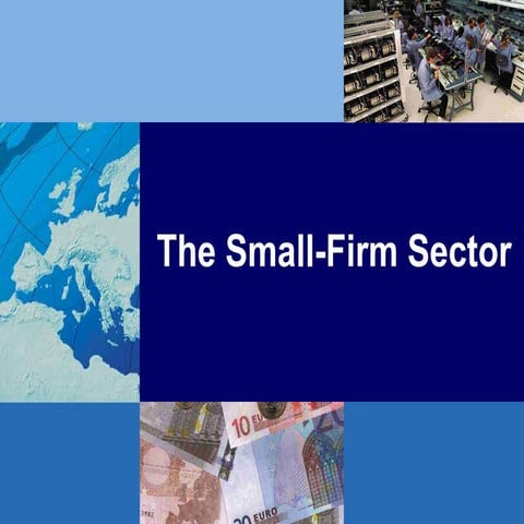 Small Firm Sector