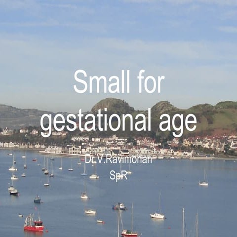 Small For Gestational Age