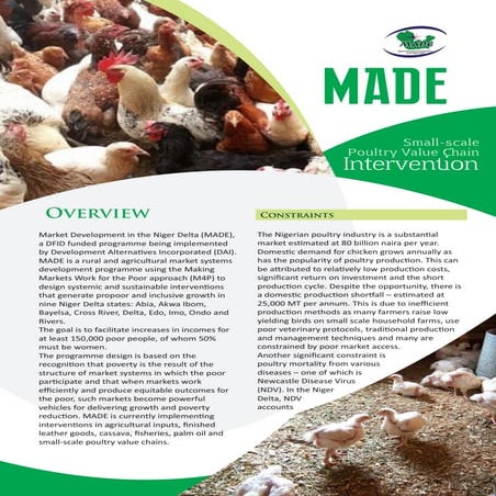 Small Scale Poultry Value Chain Intervention