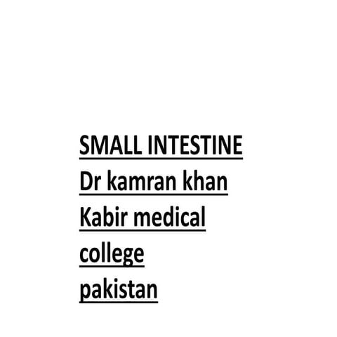 Anatomy of small and large Bowel PPT.pptx