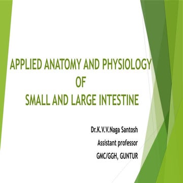 small and large intestine applied anatomy.pptx