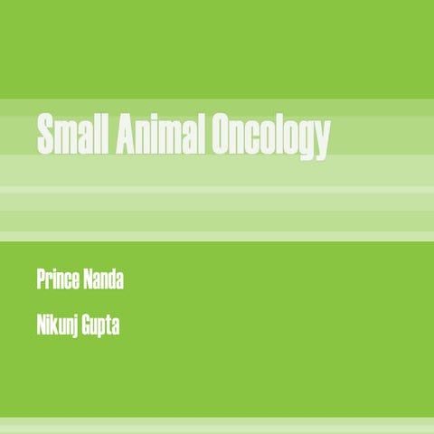 Smallanimaloncology 111117075928-phpapp01