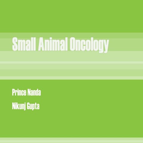 Small animal oncology