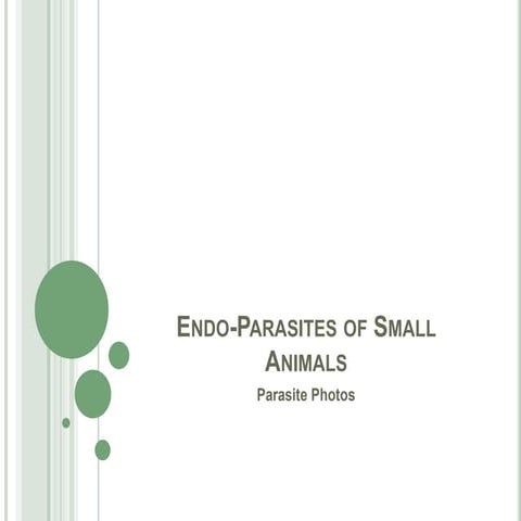 Small Animal Parasites | PPTX