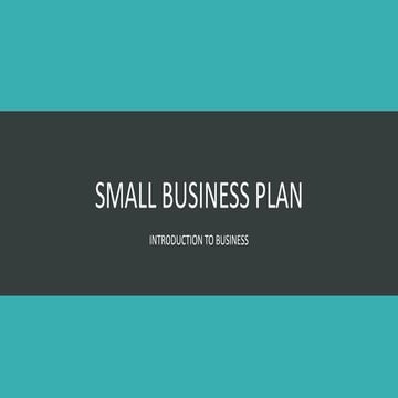 Project 1 Presentation Small Business Plan