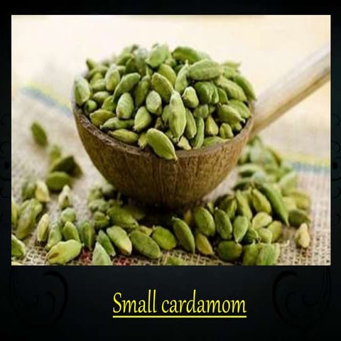 Small cardamom