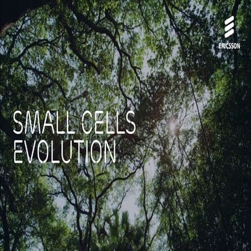 Small cell Evolution final