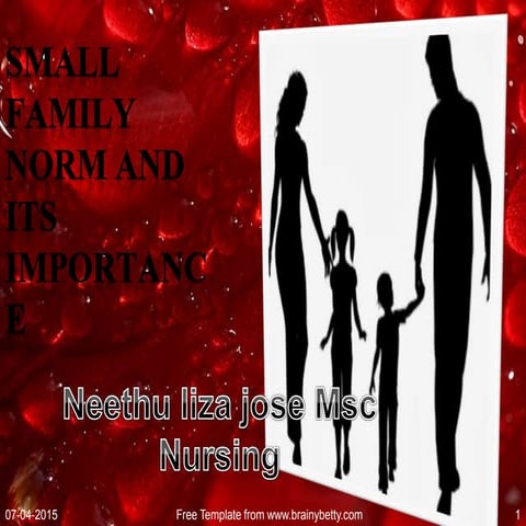 Small family norm and its importance
