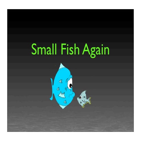 Small Fish