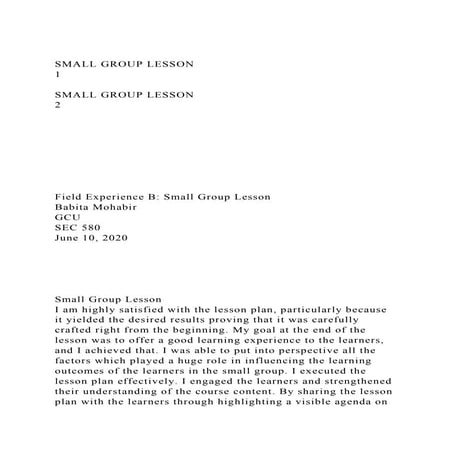 SMALL GROUP LESSON                                               .docx