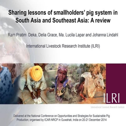 Sharing lessons of smallholders’ pig system in South Asia and Southeast Asia:...