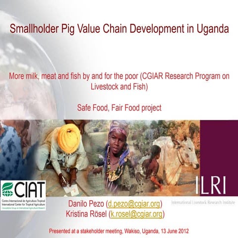 Smallholder pig value chain development in Uganda 