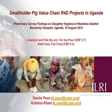 Smallholder pig value chain R4D projects in Uganda