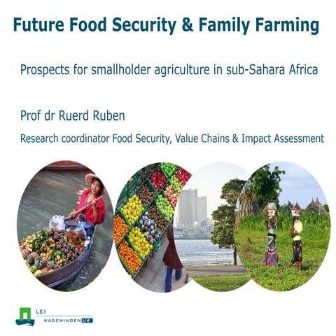 Smallholders in africa