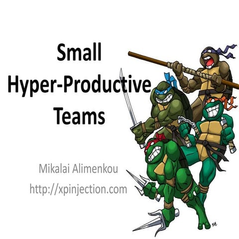 Small Hyper-Productive Teams