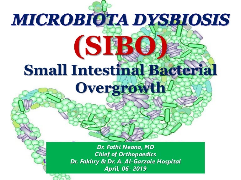 Small Intestinal Bacterial Overgrowth Sibo