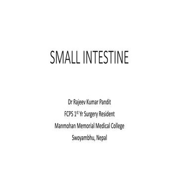 Small intestine/Intestinal obstruction/crohns disease/ileostomy/viscous organ...