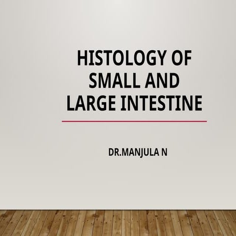 HISTOLOGY OF SMALL INTESTINE                     .pptx