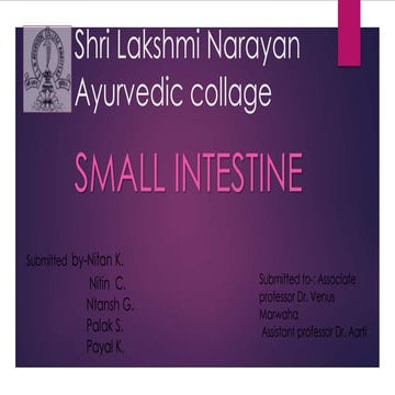 Small Intestine.pptx