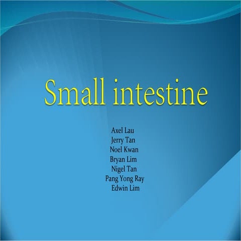 Small intestine (2)