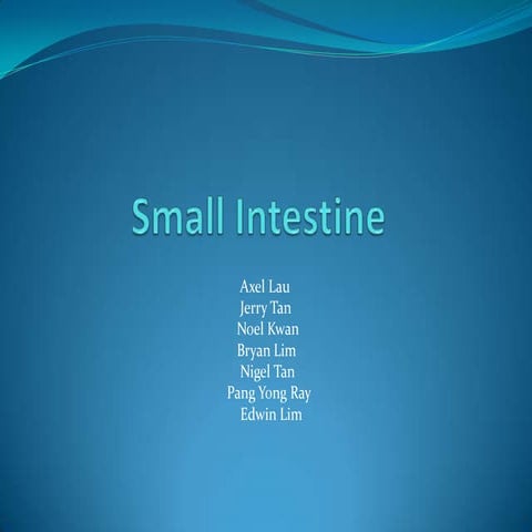 Small intestine (3)