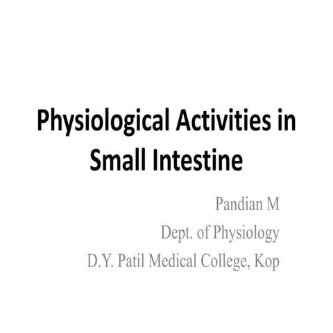 Small intestine by Pandian M