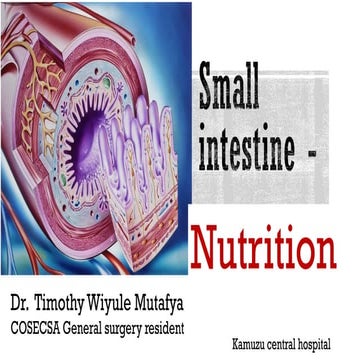 Histology of pancreas.pdf