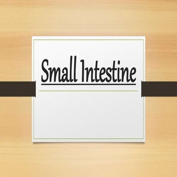 Small intestine surgery