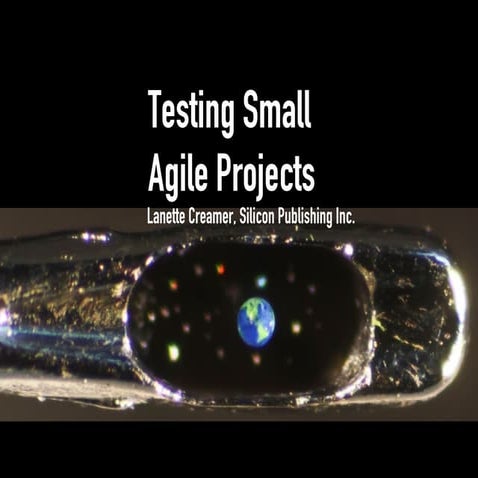 Testing Small Agile Projects from Agile Vancouver Quality Conference 2014