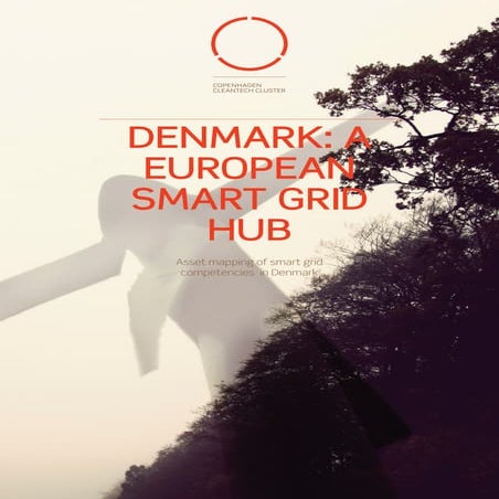 Copenhagen Cleantech Cluster - A European Smart Grid Hub | PDF
