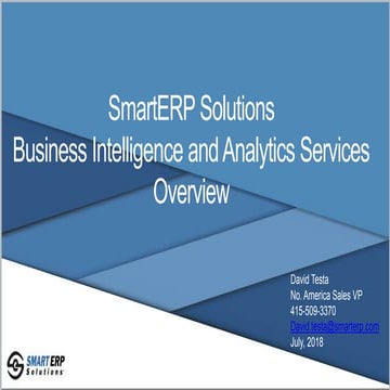 SmartERP  BI and Analytics Services